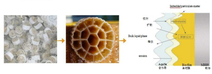 1643263398194241.png image.png