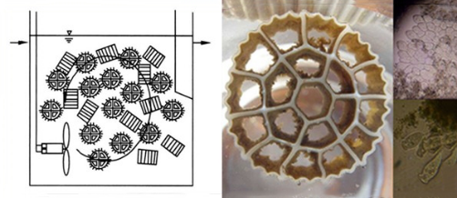 1643264073108313.png image.png