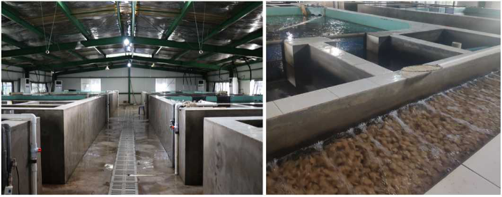 1643264414144592.png image.png