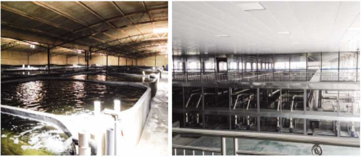 1643264442347502.png image.png