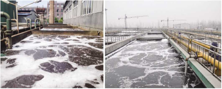 1643264474159312.png image.png